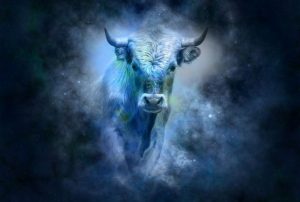 Ko internetā raksta par Zodiaka zīmi VĒRSIS